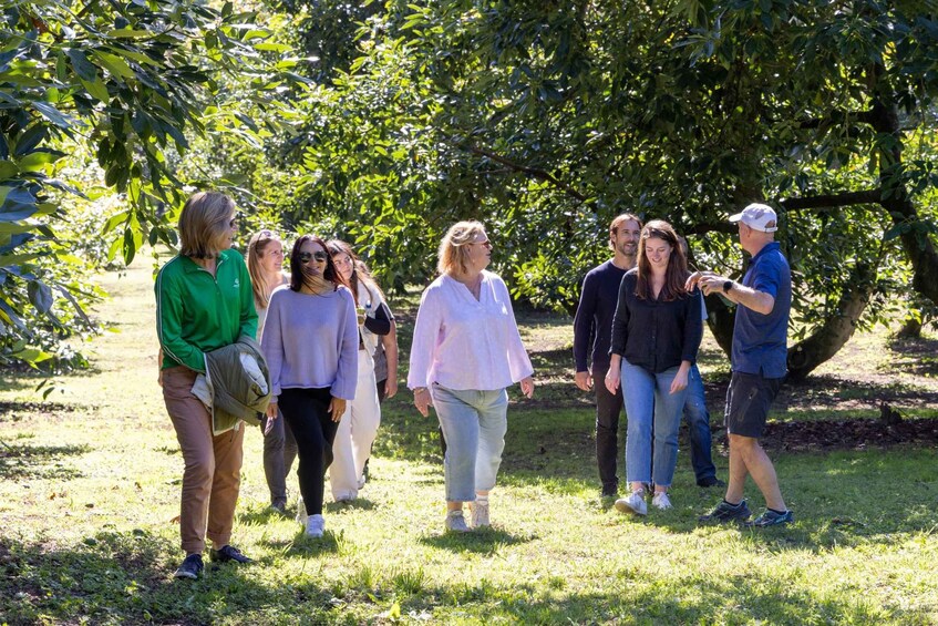A group of people walking in a park with trees and grass. 4