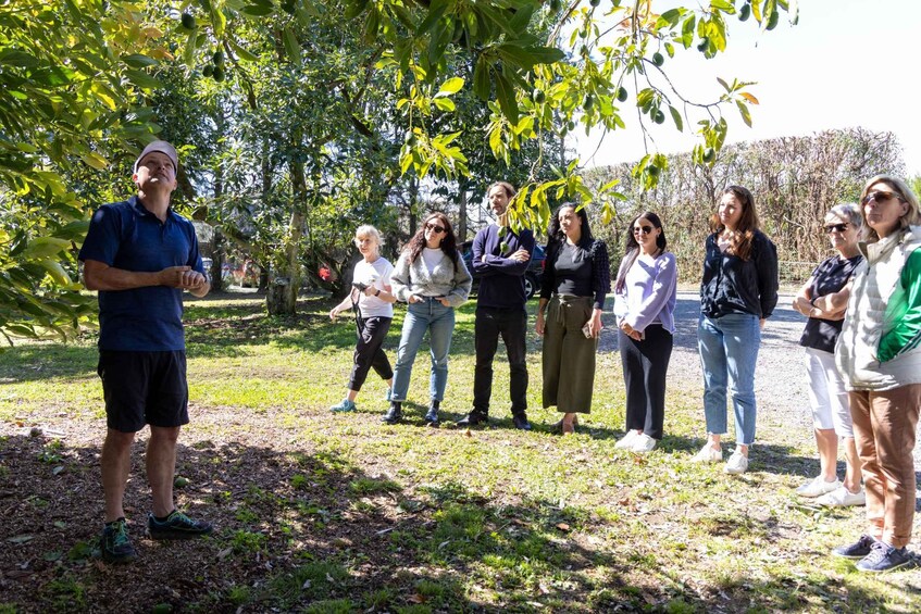 A group of people standing outdoors under a tree, with a man speaking to them. 5