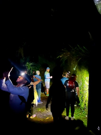 A group of people walking through a dimly lit tunnel with greenery on the sides. 4