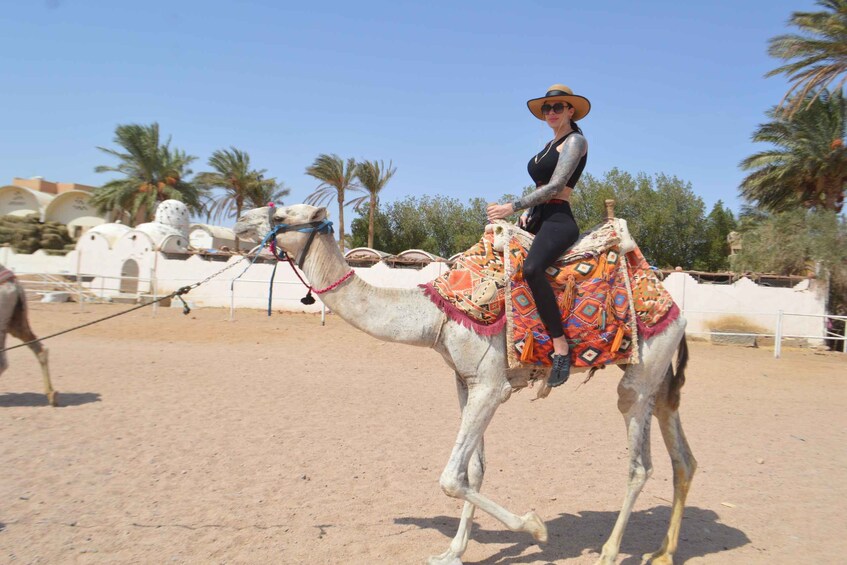 A person riding a camel in a sandy area with palm trees and white buildings in the background. 5