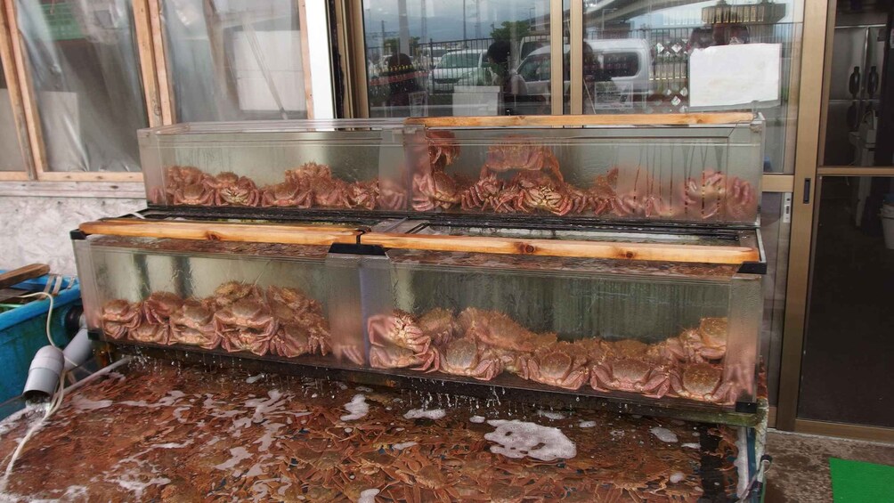 A seafood display with live crabs in a glass tank. 5