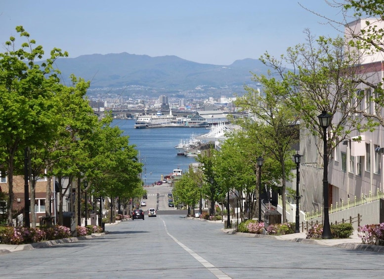 A coastal city street with a view of the harbor, boats, and distant mountains. 1