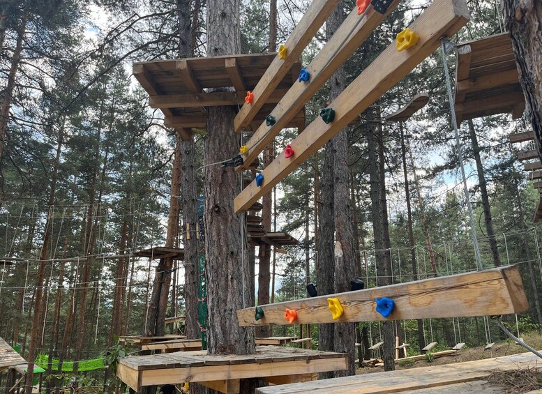 A wooden climbing structure with colorful handholds in a forest. 5