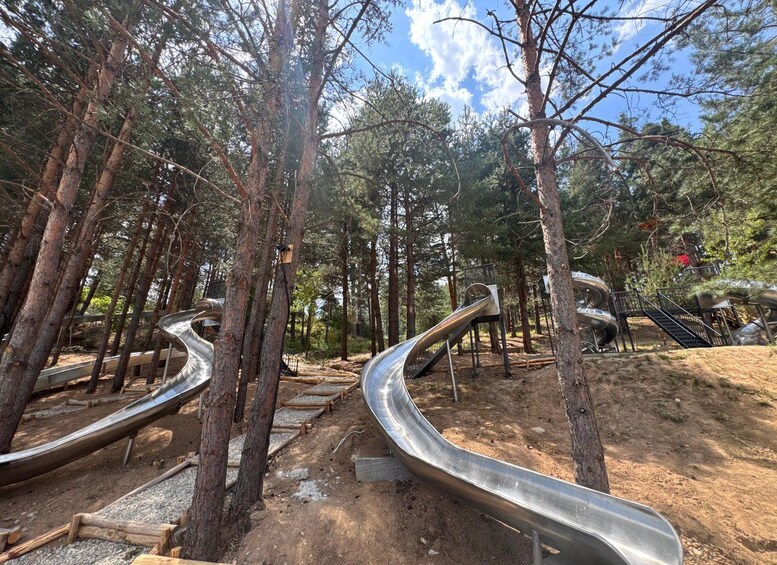 A forest with metal slides and wooden walkways. 5