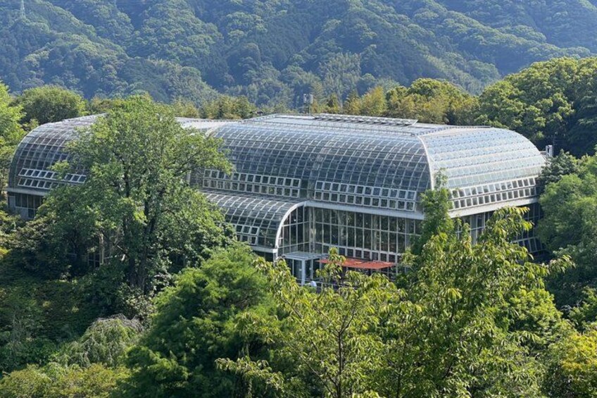 A large greenhouse structure surrounded by dense forest. 2