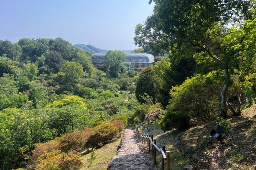 A pathway through a forest with a greenhouse structure in the background. 3