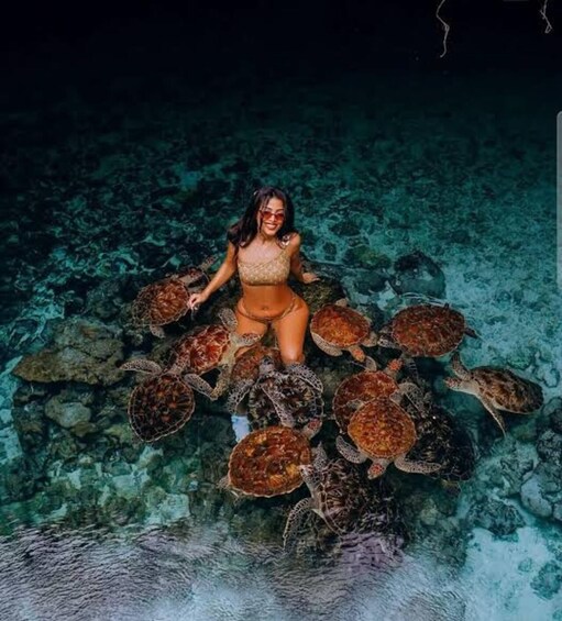 A person sitting among sea turtles in clear water. 4