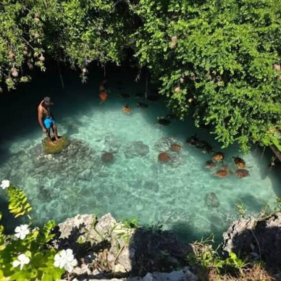 A person standing on a rock in a clear water body surrounded by lush greenery. 5