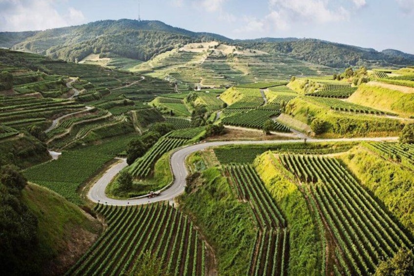 Terraced vineyards, winding roads, and rolling hills. 1