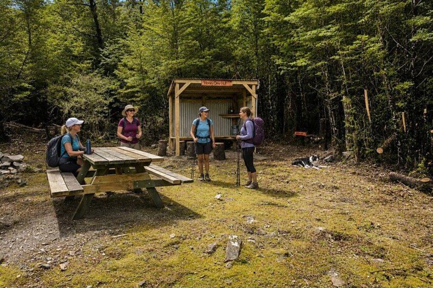 A group of hikers near a wooden shelter in a forested area with a picnic table and a dog. 4
