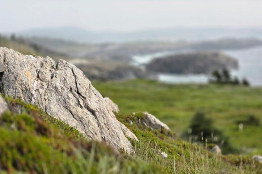 A rocky outcrop with grass and a distant body of water. 5