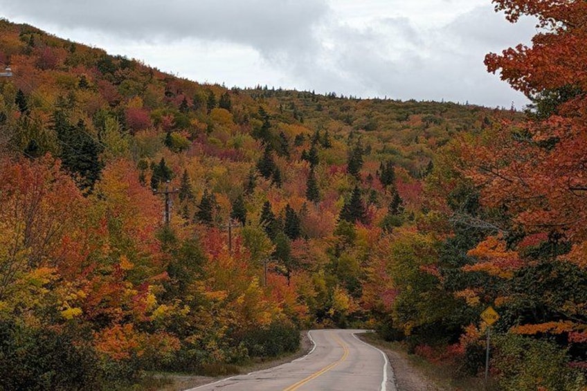 A winding road through a forest with autumn foliage. 3