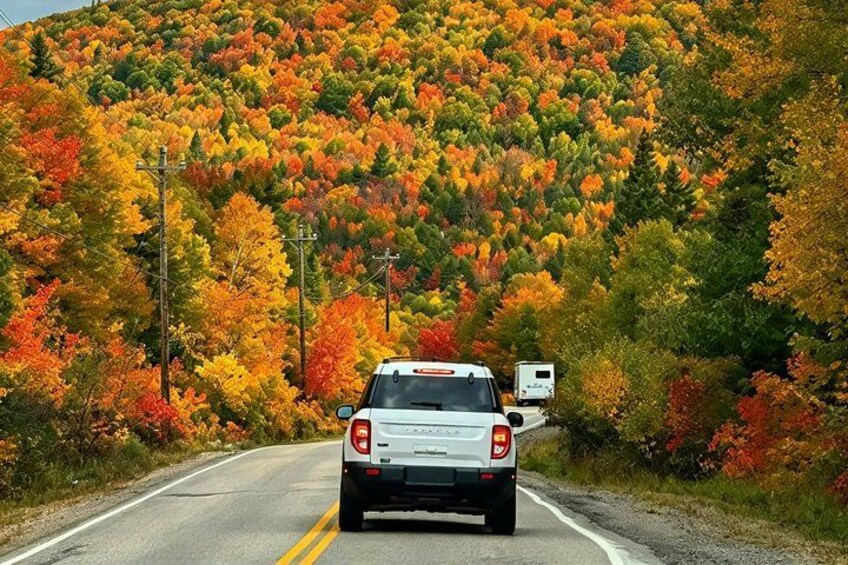A white truck on a two-lane road with autumn foliage in the background. 2