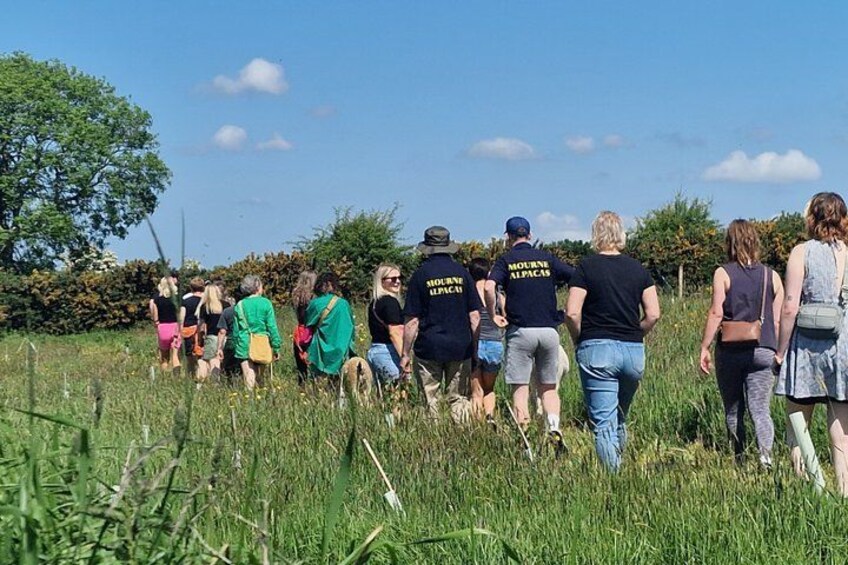 A group of people walking in a grassy field. 5