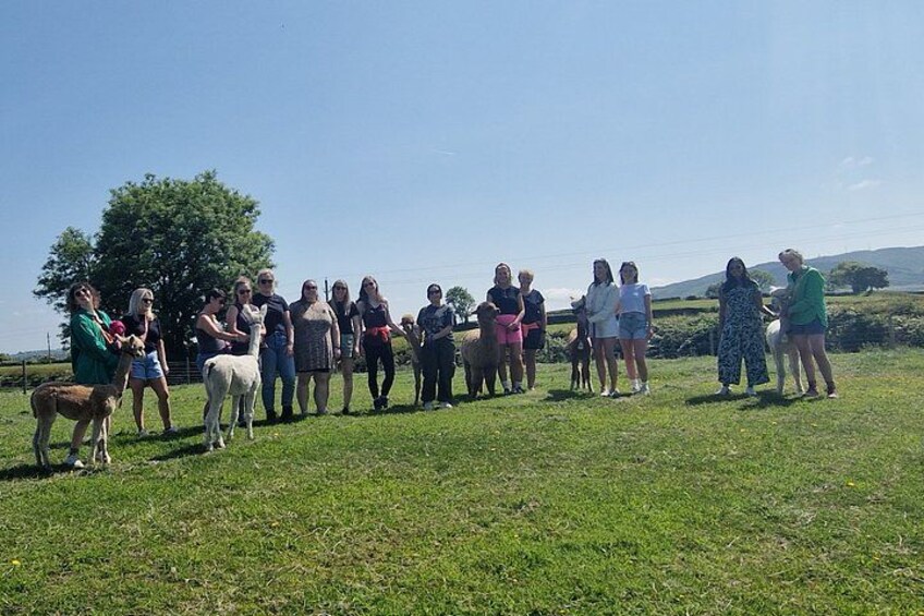 A group of people standing in a grassy field with sheep. 2