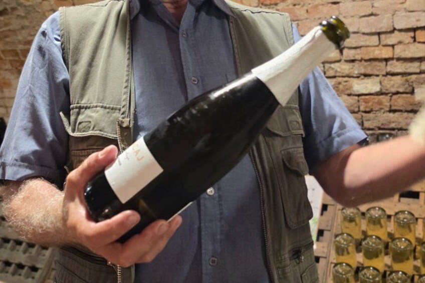 A person holding a wine bottle. 1