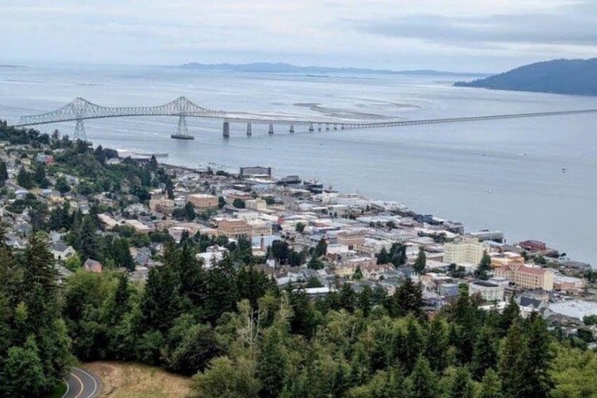 A coastal city with a prominent bridge in the distance, dense urban area, and surrounding forested hills. 3