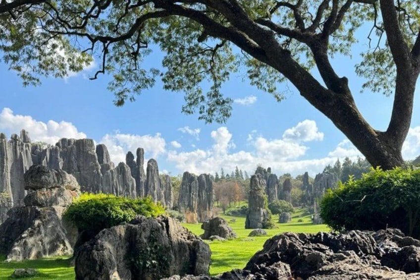 A landscape with a large tree, rock formations, and a clear sky. 1
