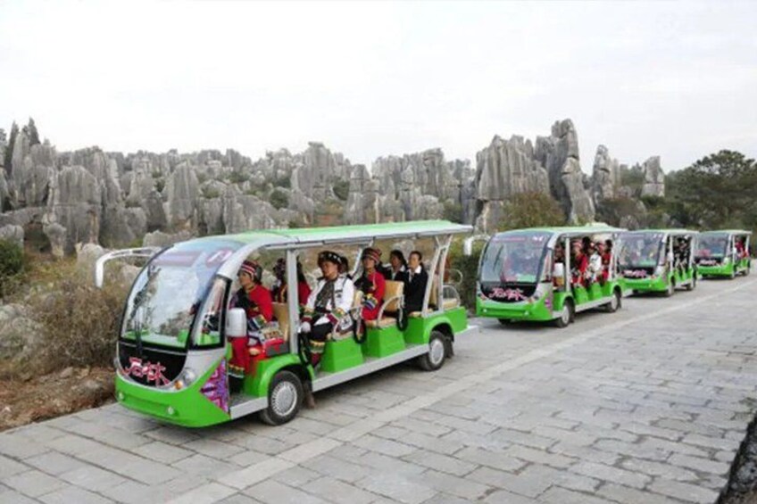 A row of green tour buses parked on a paved path with a rocky landscape in the background. 2