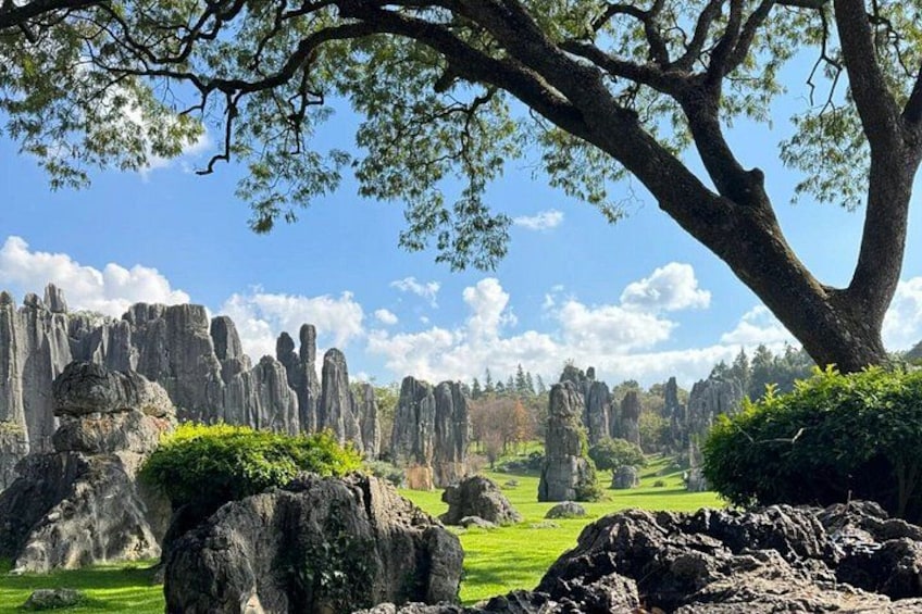 A landscape with a large tree, rock formations, and a clear sky. 1