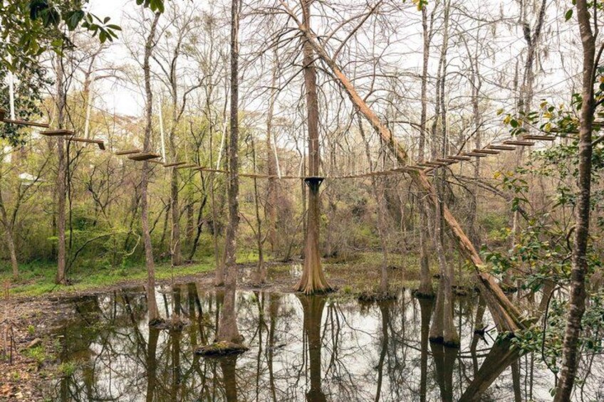 A forest with a pond, trees, and a wooden structure. 2