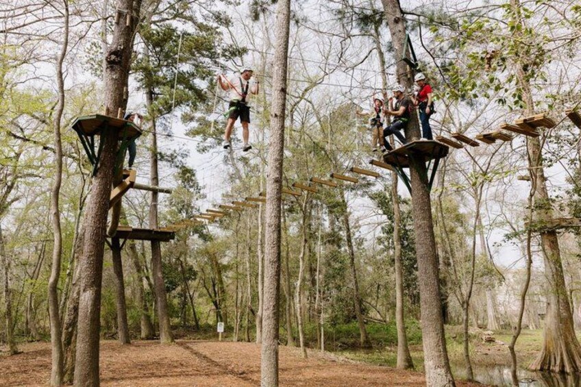 People on tree platforms in a forest. 3
