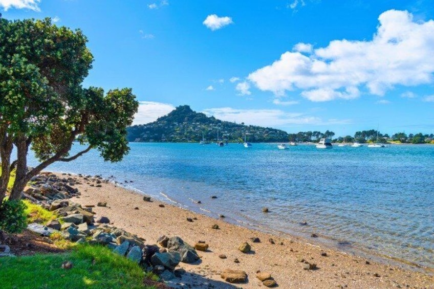 A beach with clear water, a tree, and boats in the distance. 3
