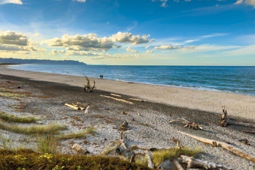 A beach with driftwood and a clear sky. 2