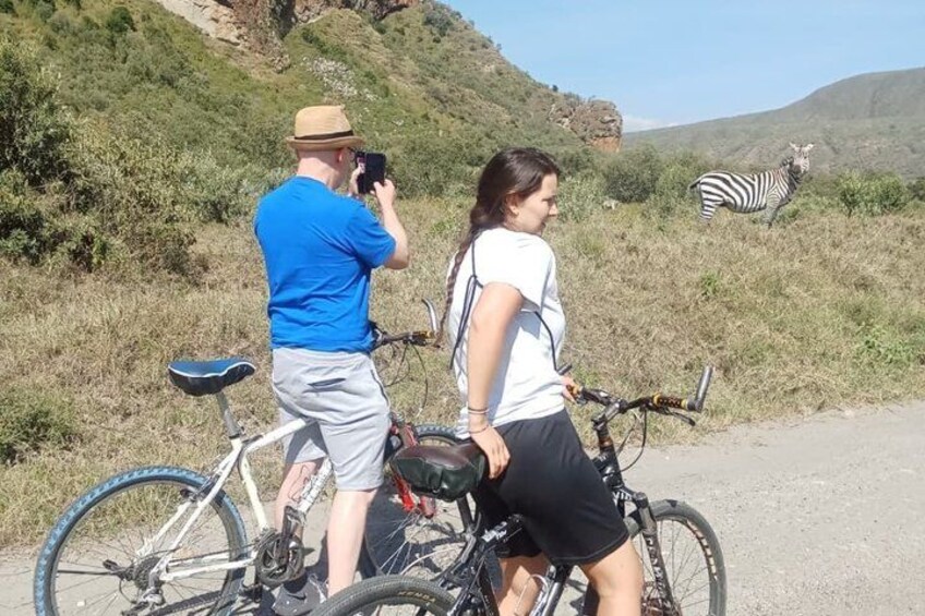 Two people on bicycles, one taking a photo, and a zebra in the background. 2