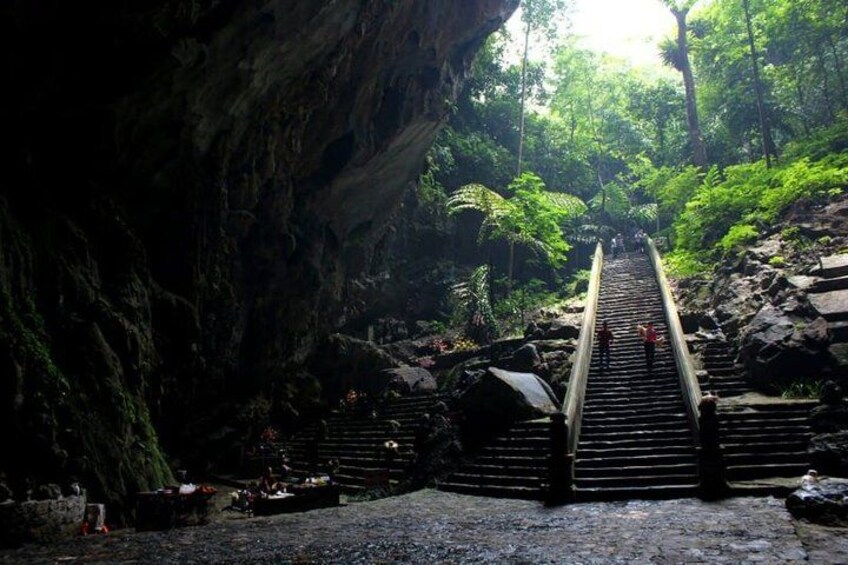 A wooden staircase leading into a cave, surrounded by lush greenery. 3