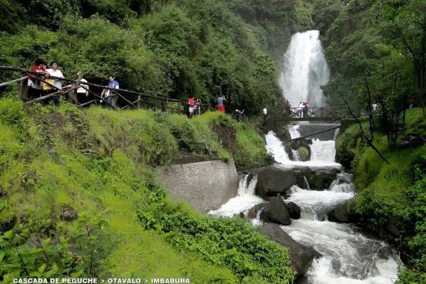 A waterfall, lush greenery, and a bridge with people. 5