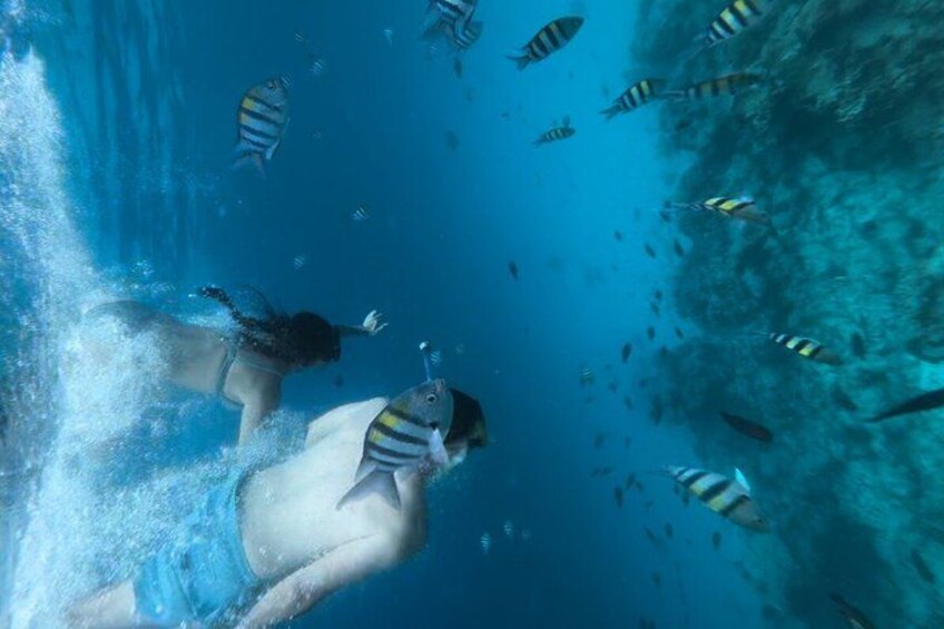 A diver swimming with fish in clear blue water. 1