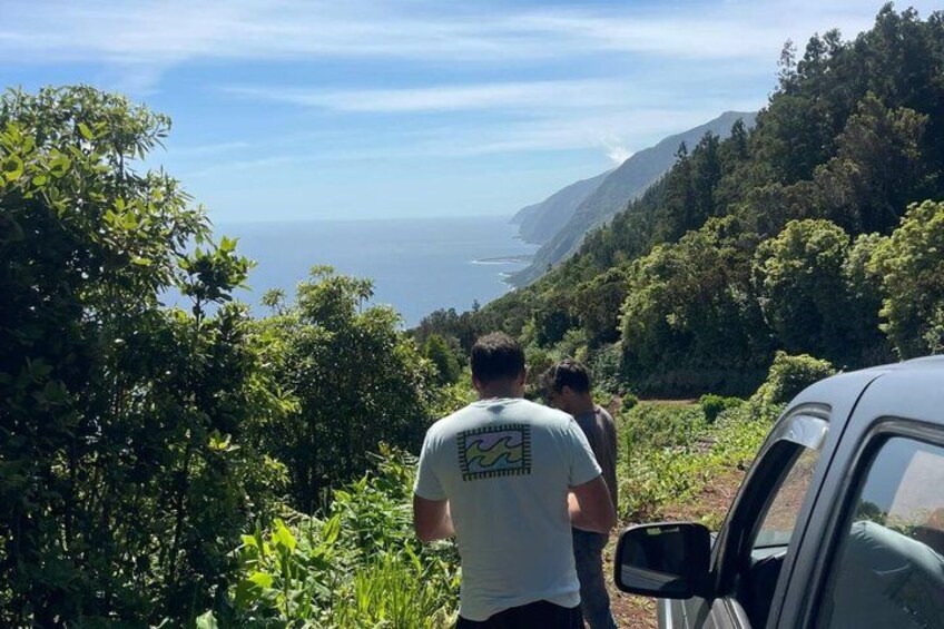 A coastal landscape with dense greenery and a clear view of the ocean. 4