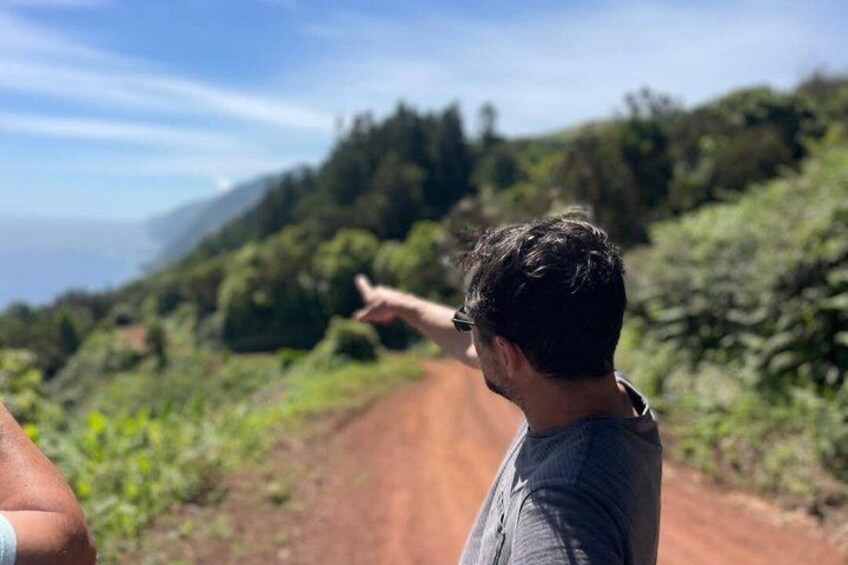 A person pointing towards a dirt path surrounded by greenery and hills. 3