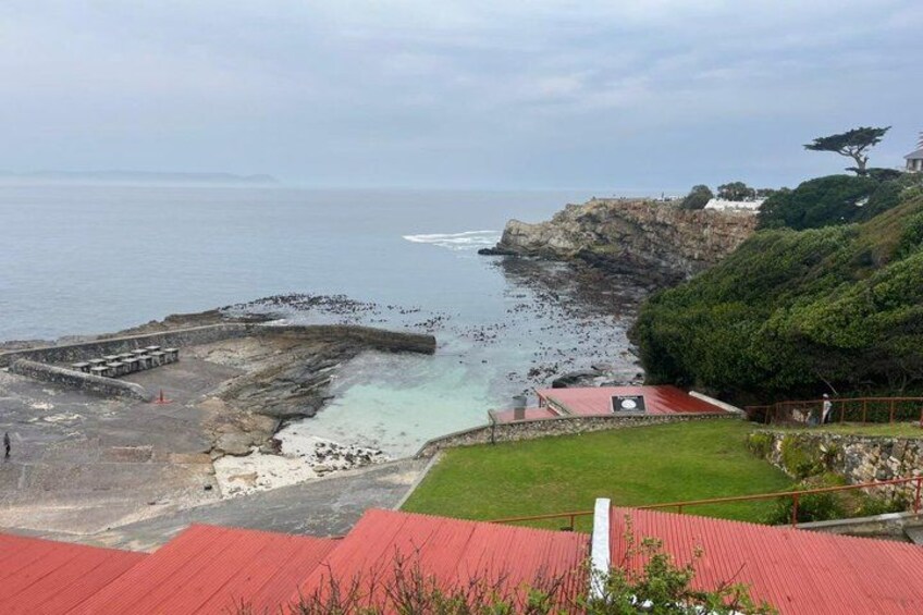 A coastal landscape with rocky cliffs, a grassy area, and a red-roofed building. 4
