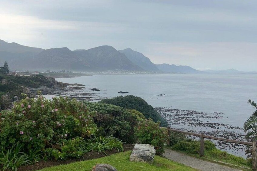 A coastal landscape with mountains, a beach, and a garden with pink flowers. 3