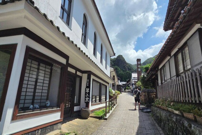 A narrow street lined with traditional buildings, a person walking, and a mountain in the background. 4