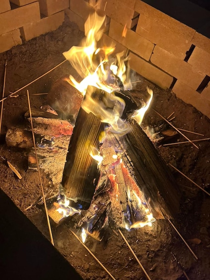 A campfire burning logs in a fire pit. 2