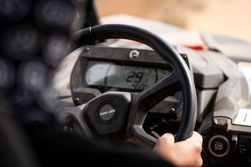 A close-up of a vehicle's steering wheel with a digital display showing the number 29 and the word 'can-am' on it. 2