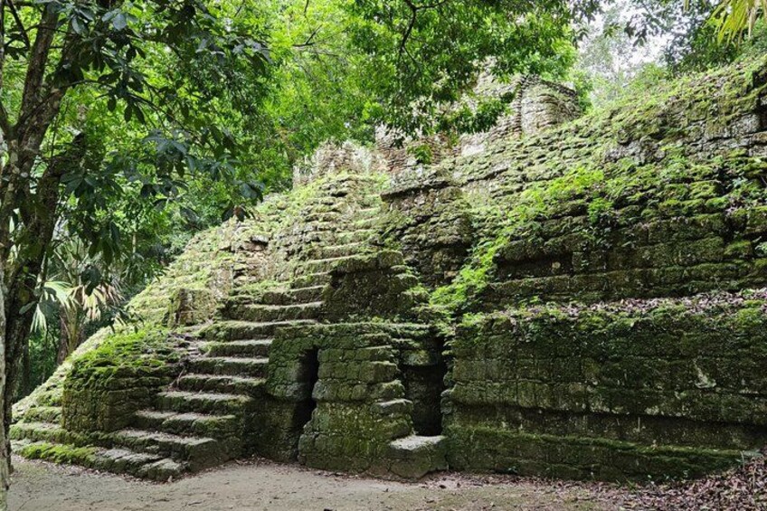 A moss-covered stone staircase leading up a hill. 3