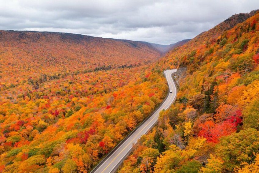 A winding road through a forested valley with autumn foliage. 1