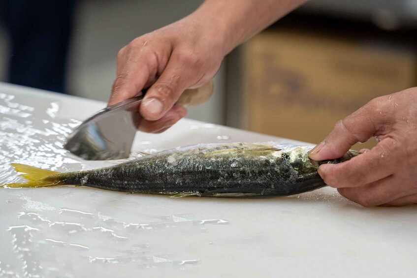 A person cutting a fish on a white cutting board. 3