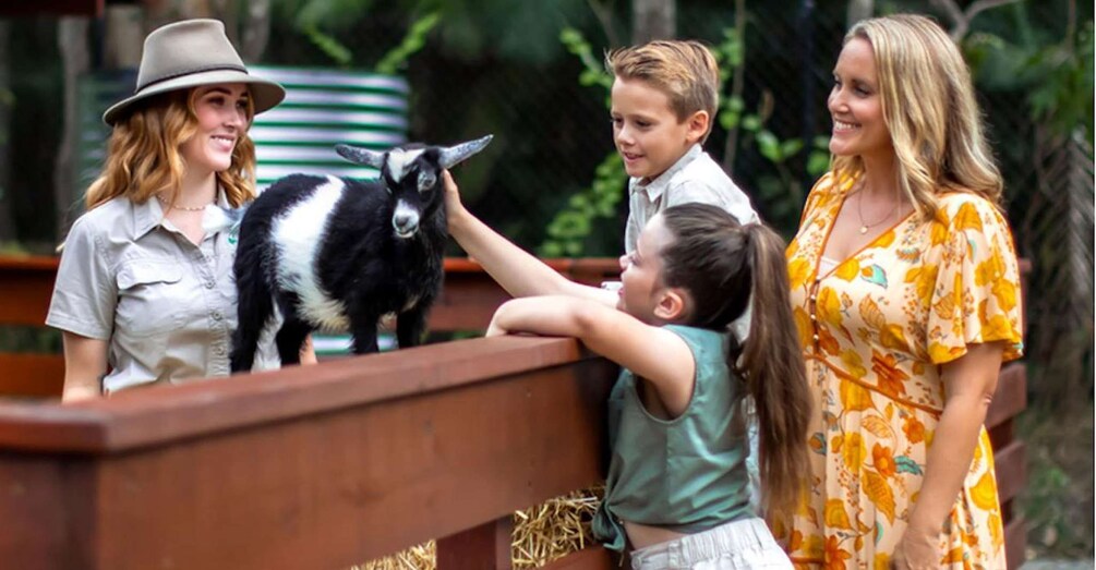 A family interacting with a goat at a farm. 3