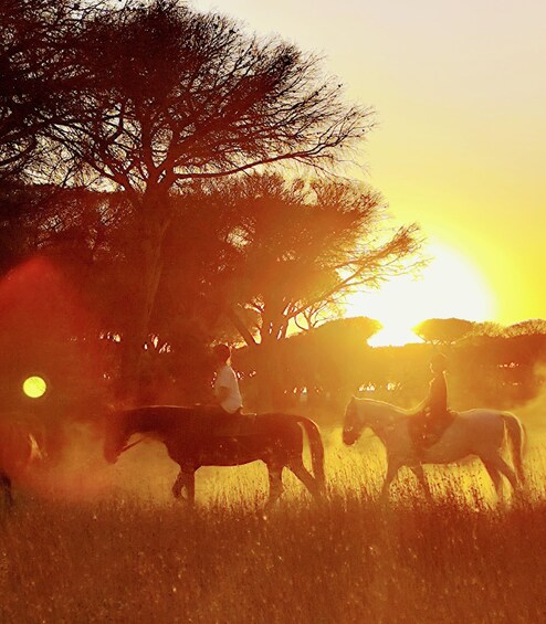 A sunset with silhouettes of people riding horses in a field. 4
