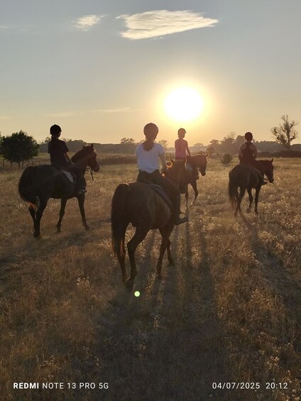A sunset with four people riding horses in a field. 5