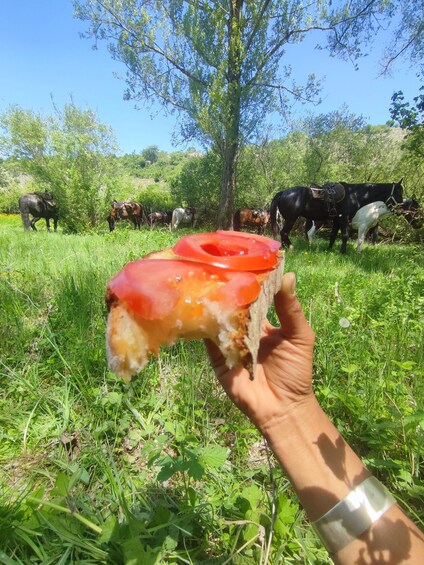 A hand holding a slice of pizza with tomato and cheese toppings. In the background, there are horses and cows grazing in a grassy field with trees. 3