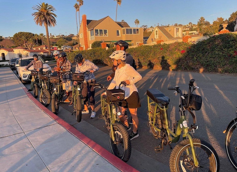A group of people on bicycles parked along a curb with houses and palm trees in the background. 3