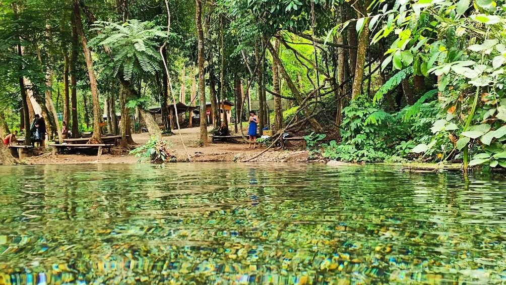 A forested area with a clear water body, people near the water, and some structures. 4
