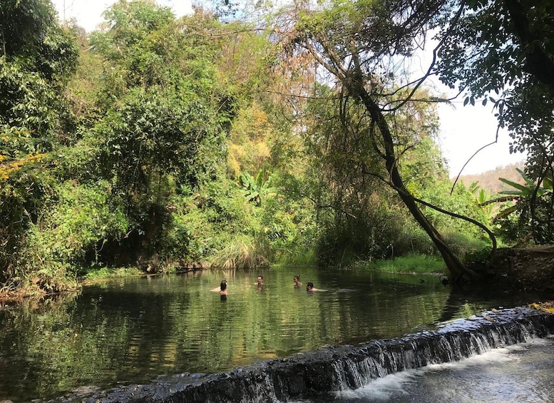 A natural water body with people swimming, surrounded by dense greenery and trees. 1