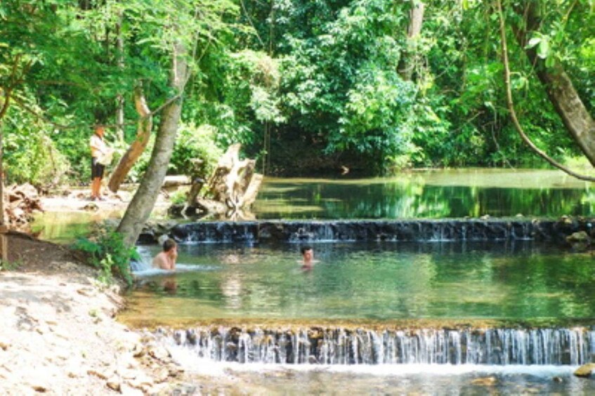 A waterfall in a forested area with a small pool of water at the base. 3